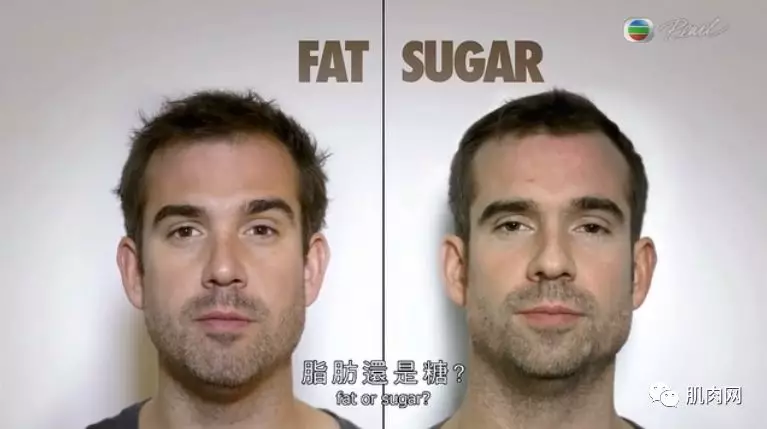 为了找出肥胖真凶，双胞胎一人吃糖、一人吃脂肪，4周后发现...
