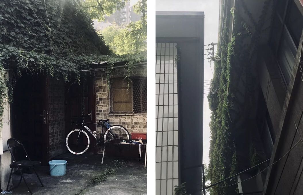 西大街97号，省歌里外的两重天