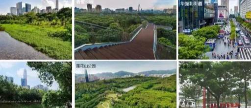 美爆了!福田区新城市规划曝光