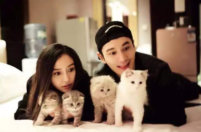 与baby婚姻状况成谜，黄晓明被拍到夜店搂美女？真相很打脸