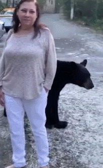 �Ծ���ī����һ�������Ŀ���Ů�οͣ��ḧ��ͷ������