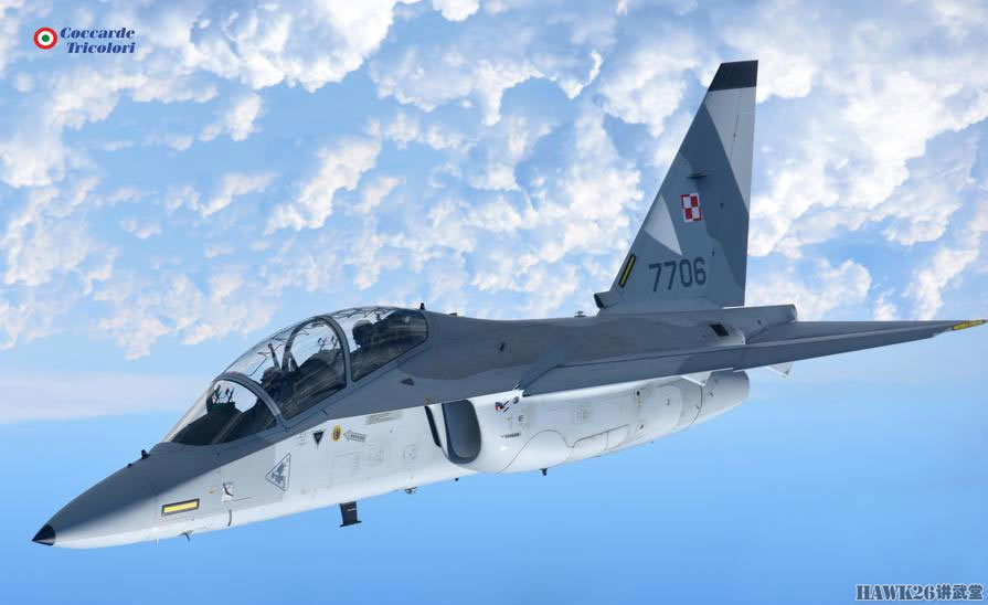 波兰空军拍摄m346教练机有点像中国猎鹰
