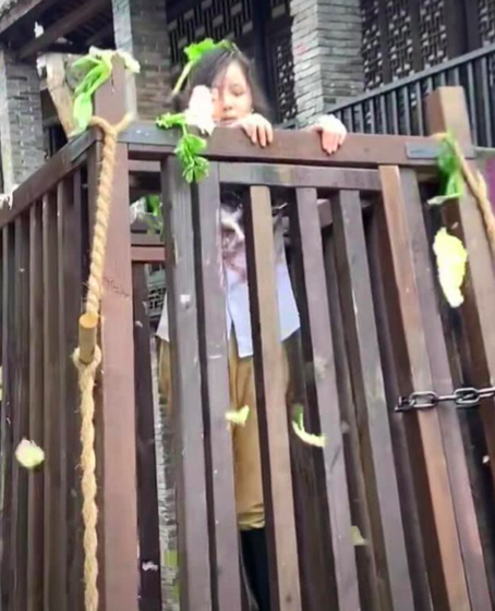 屏幕快照 2019-08-05 下午17.10.06.png