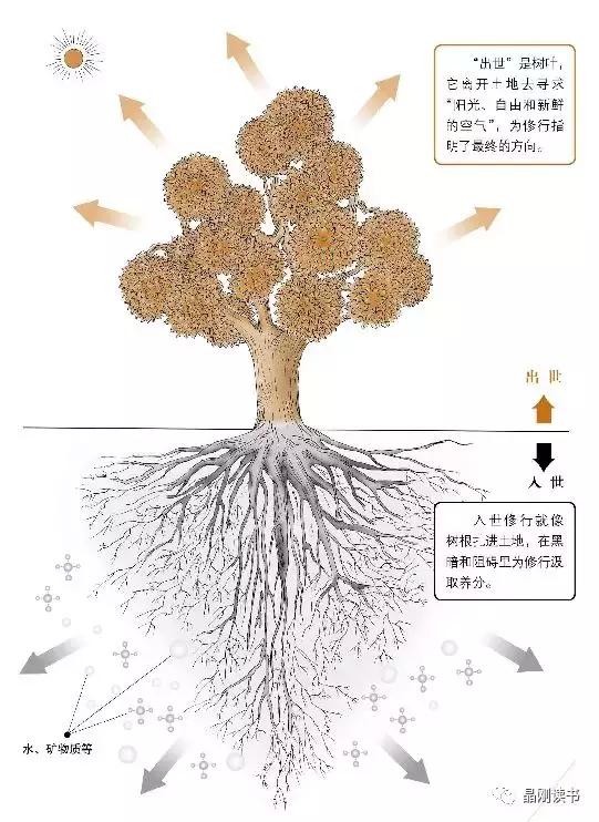 《金刚经》解读 - 第21天:修行与入世 佛法不离世间