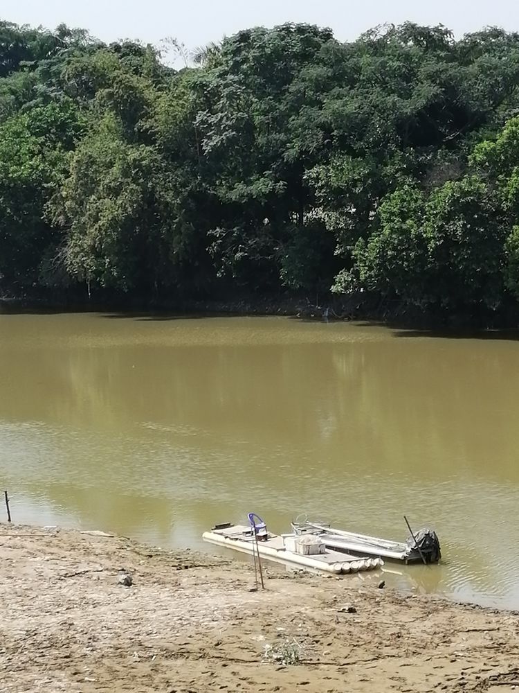 二十位作家笔下的茂名小东江