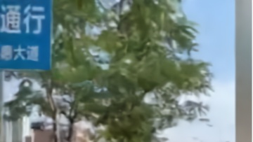 惠阳淡水白云坑桥改造升级，全面封闭至明年8月