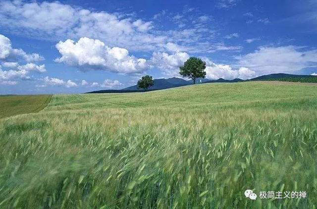 三毛:如果有来生