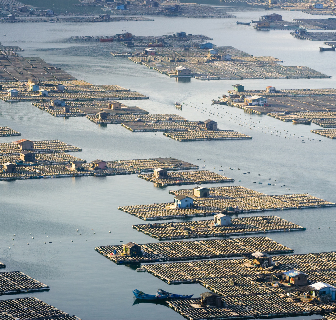 沿海人民是如何喂饱中国的？| 地球知识局
