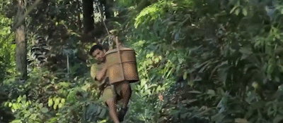 建在树上的餐厅,在鸟巢中吃饭,送餐员像人猿泰山靠滑索来送餐