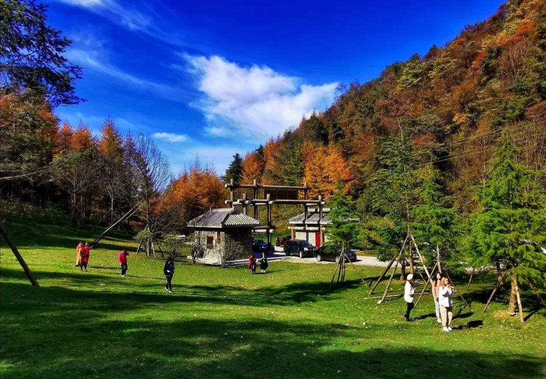 【头条】行摄多彩曾家山,赏李家醉美秋色,邂逅深秋的童话世界!