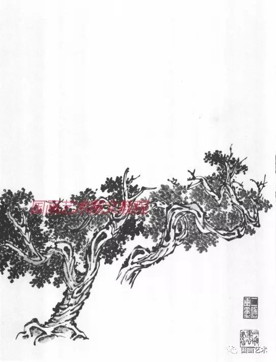 柏树(二)
