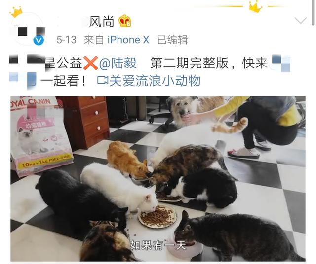 陆毅晒女儿甜美近照，贝儿收养豹纹宠物猫，开心到表情失控