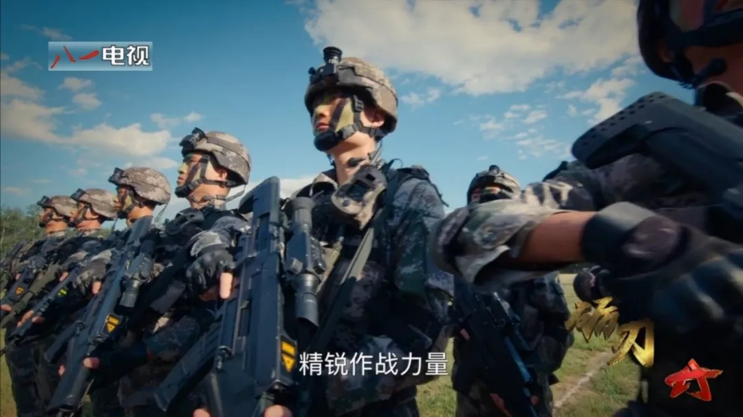 解放军还能打仗吗?一个"无手的军礼"完美解答这个问题