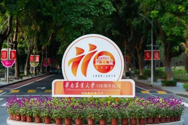 华农！百十年来，你一直令人“上头”……