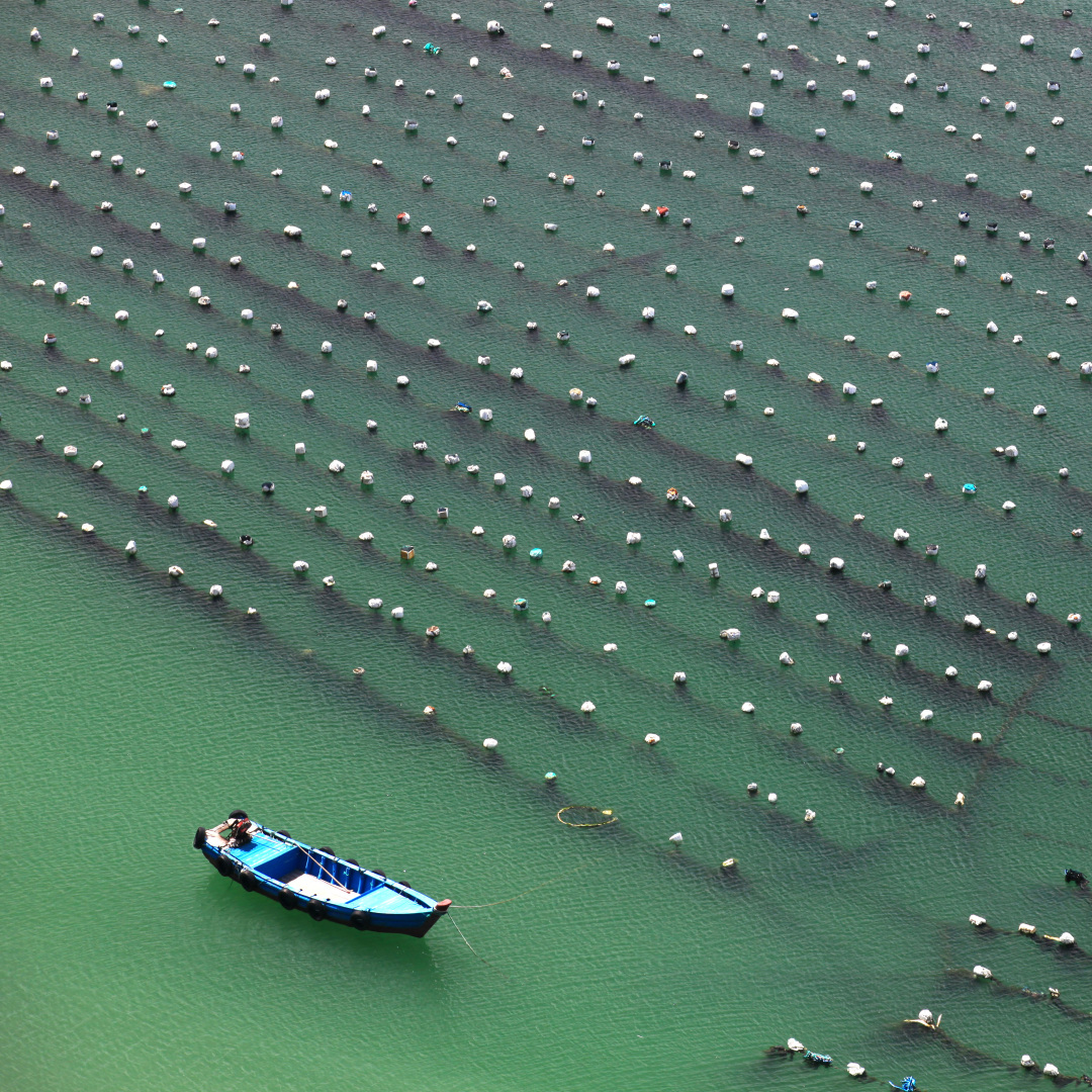 沿海人民是如何喂饱中国的？| 地球知识局