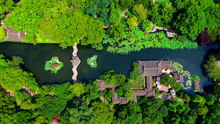 航拍上海丨嘉定篇：110多个镜头，每一刻，都美