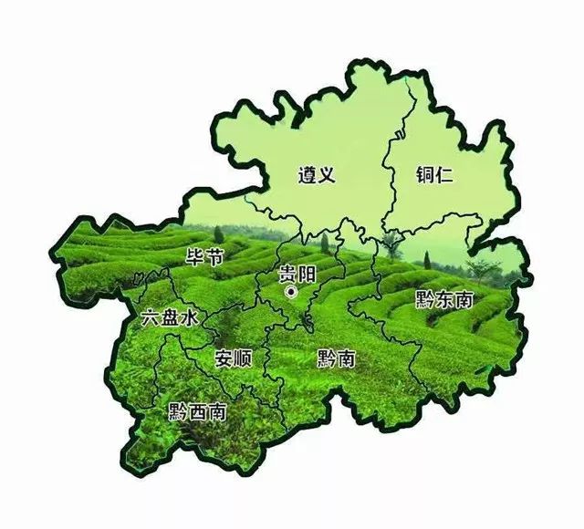 附:贵州主要茶产区及代表茗茶 遵义:湄潭翠芽,遵义红,正安白茶,绿