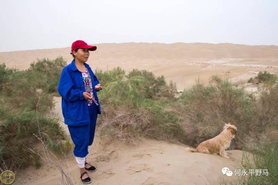 行摄新疆之1沙漠公路的守护者