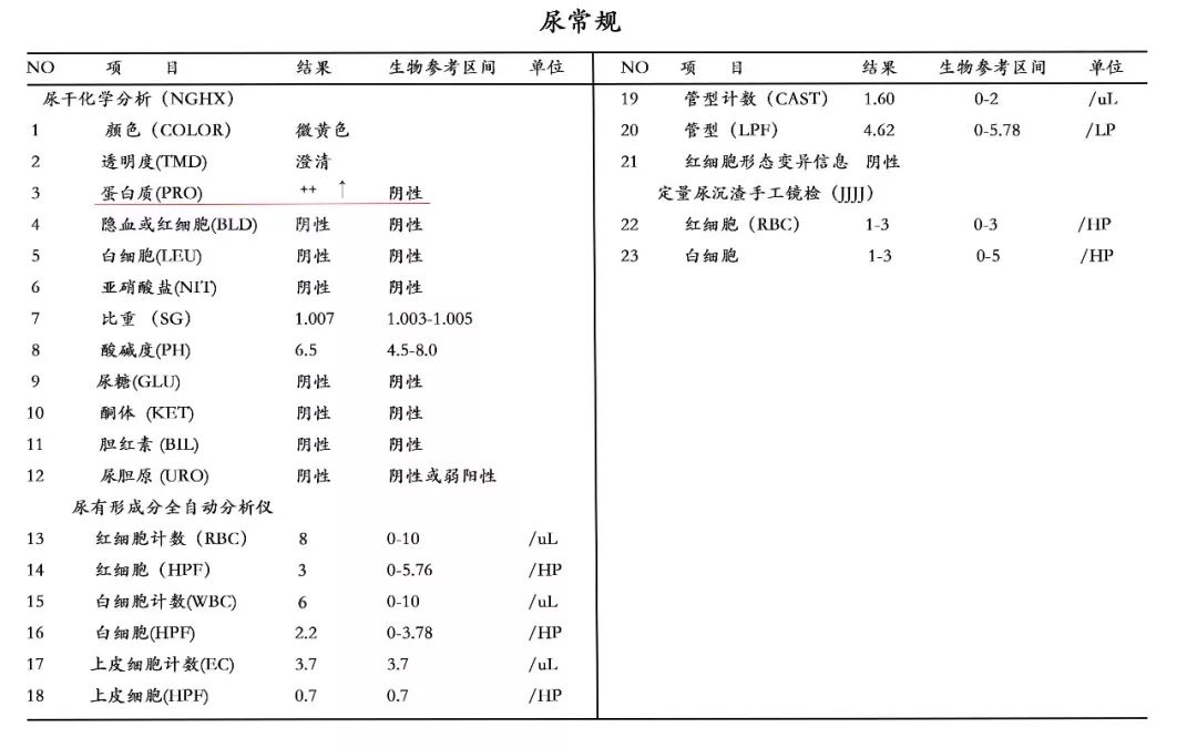 别再被尿蛋白加号骗了更准的是这两个检查