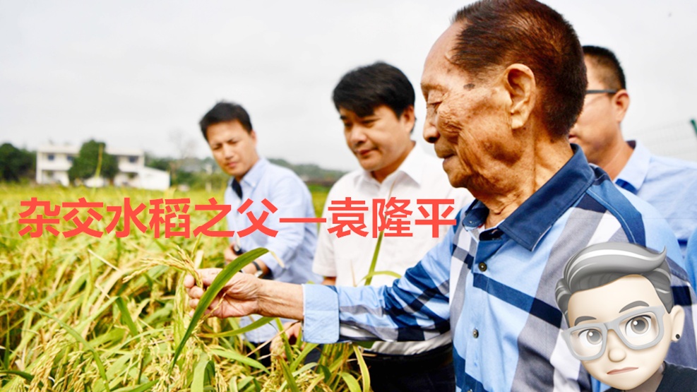 袁隆平感动中国回顾!一人养活十亿人,难以形容的伟大