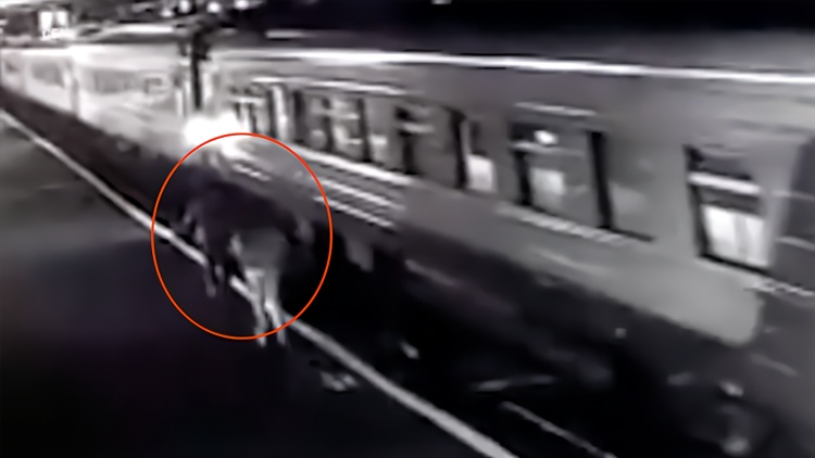 为赶火车从站台跳出 女子失足坠轨遭列车碾压