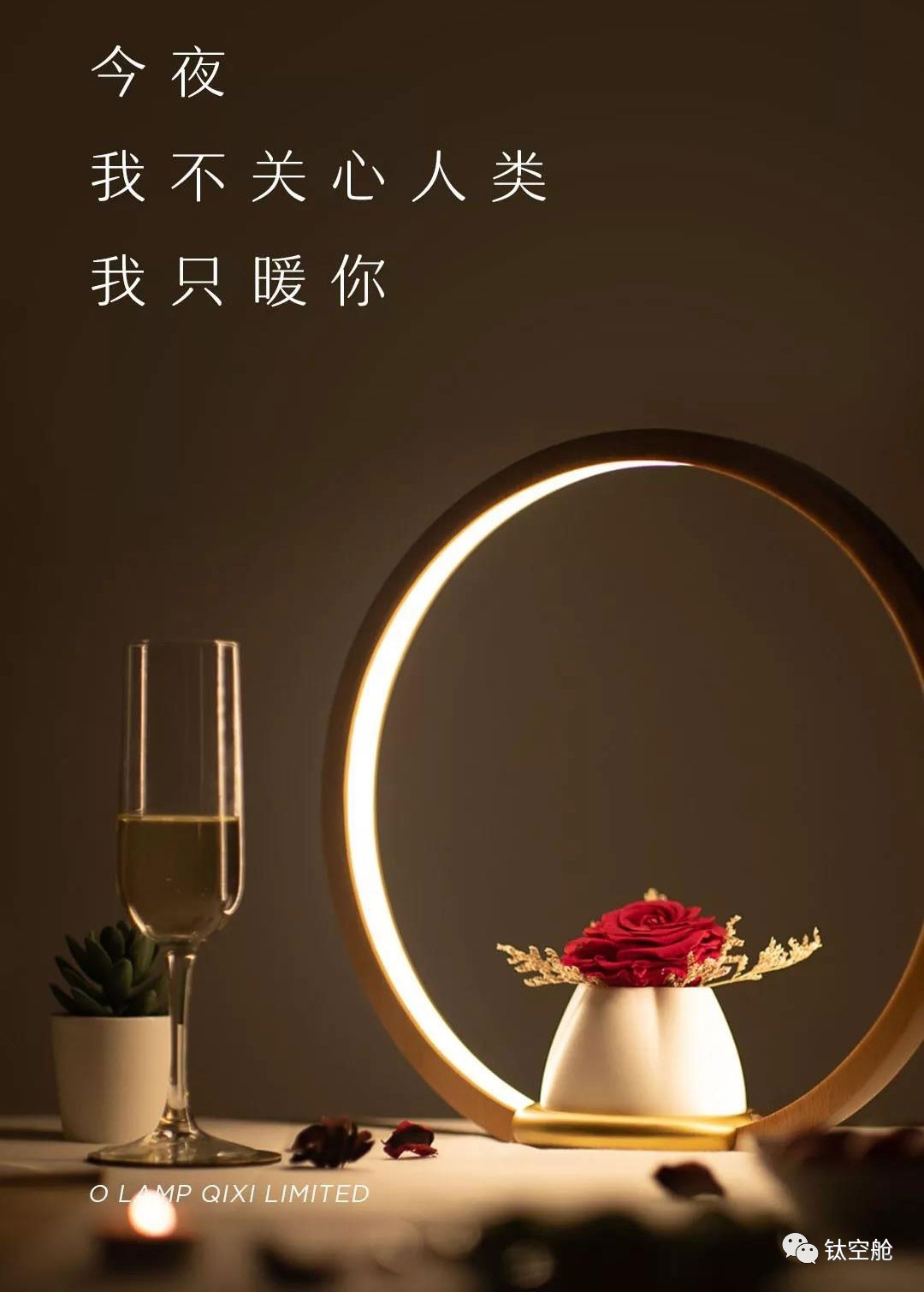今夜我不关心人类，只暖你
