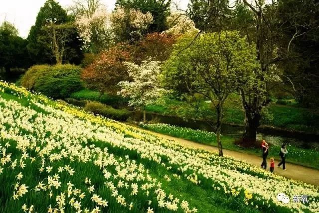 「新氧App」中国第一位伯爵夫人竟是现实版的紫菱？玛丽苏女主本体！