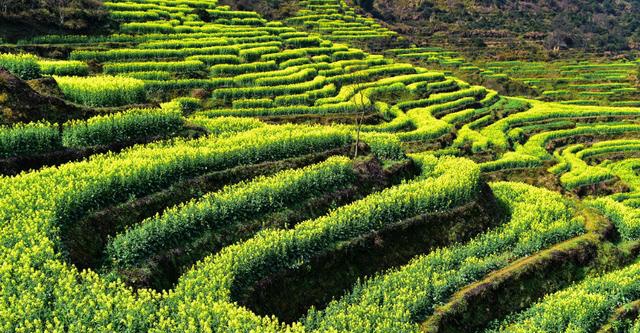 秋天旅游的好去处、江西三个全域旅游示范区介绍