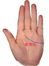 男左女右,教你手相看命,自己也能看!