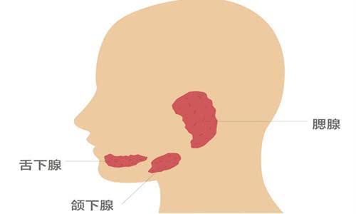 健康讲解：唾液腺也会有肿瘤吗？