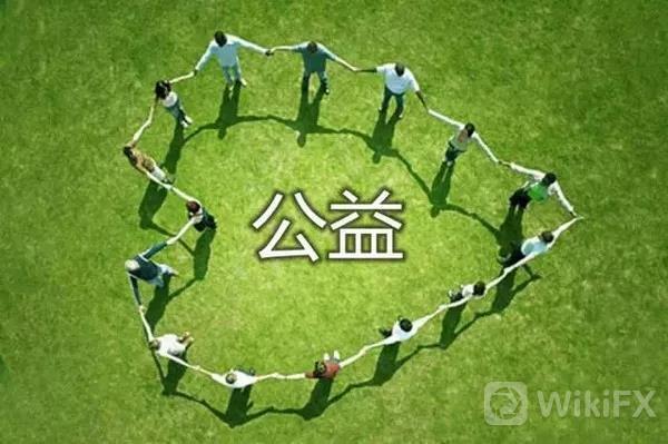 绿色力量：环保基金在行动