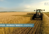 农业农村部：明年粮食总产量稳定在1.3万亿斤以上