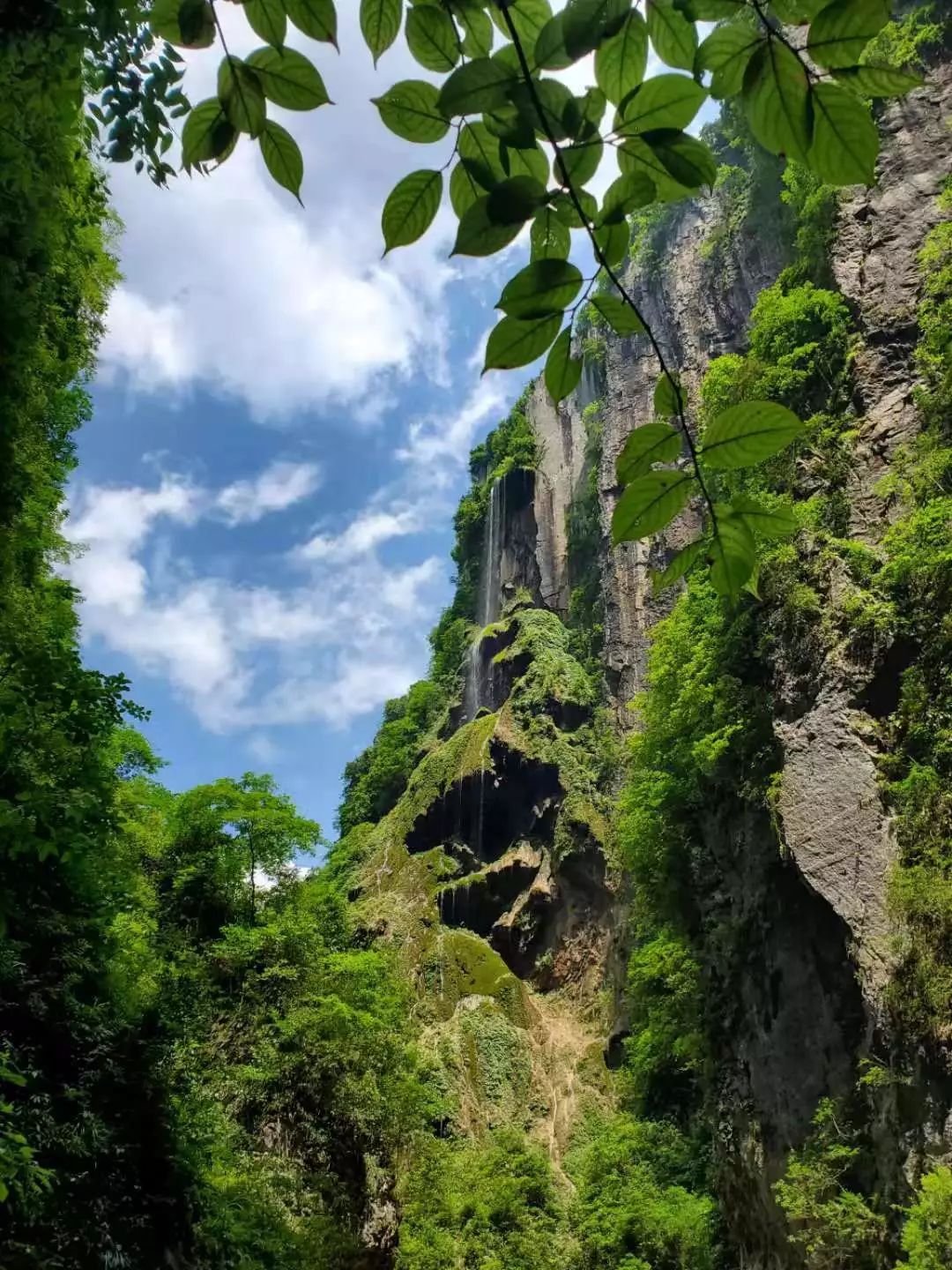 秀山又添一网红景点,周末又有好去处了