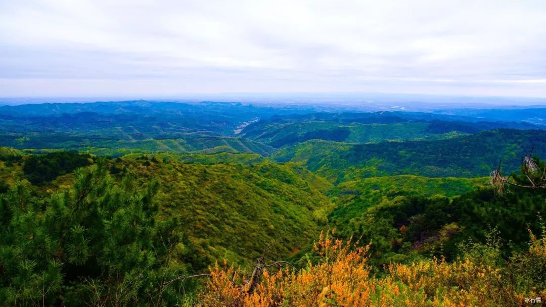 亭高出鸟外 客到与云齐《冰石情》微刊秋登发鸠山诗文选