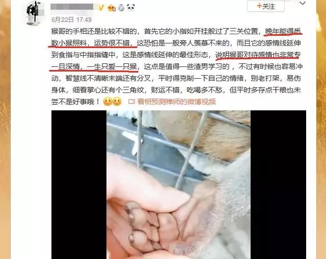 为了测这些算命APP，我一晚上交了好几百智商税