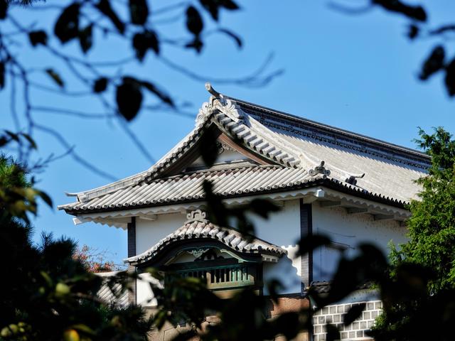 它在地图上形如中国龙,却是日本小众秘境,有着不输京都的古韵美景