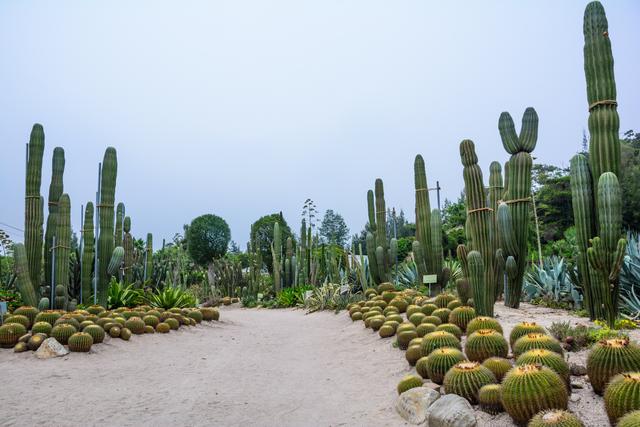 简单明了的厦门旅游景点攻略