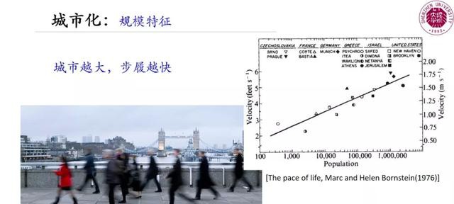 中国工程院院士郭仁忠:新城市科学认知与智慧城市建设