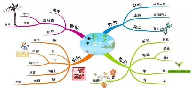 学科思维导图,画出高分学霸