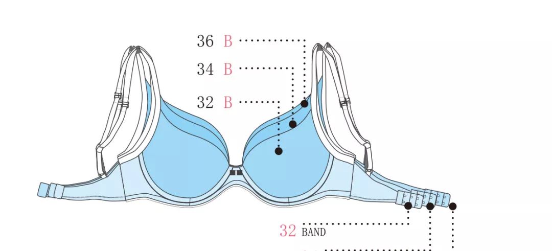 文胸罩杯的容积因为底围增加而增加,比如同样都是b罩杯,70b 75b 80b.