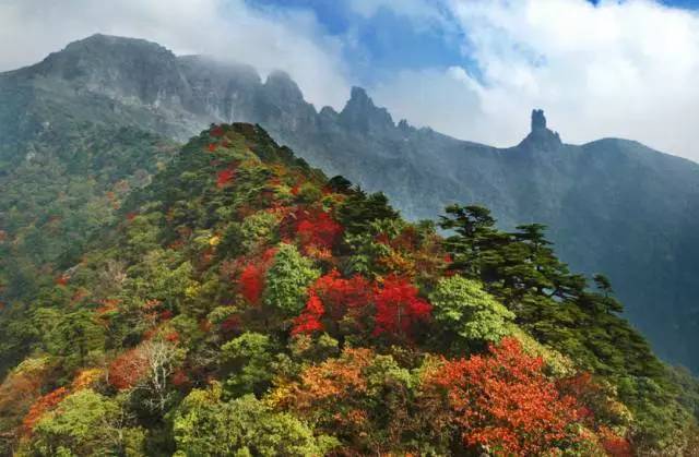 贵州旅游推荐。美到窒息！梵净山最美彩林已上线！