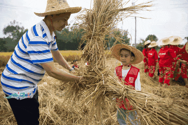皆辛苦的含义 是时候寓教于乐 周末,带孩子来一场