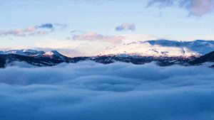 三毛:如果有来生