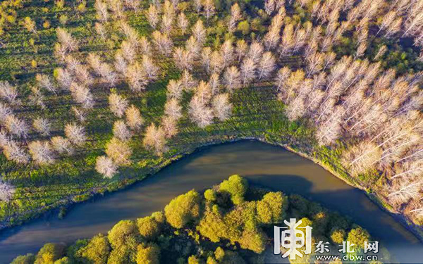 黑龙江北大荒秋收系列图片亮相北京国际摄影周