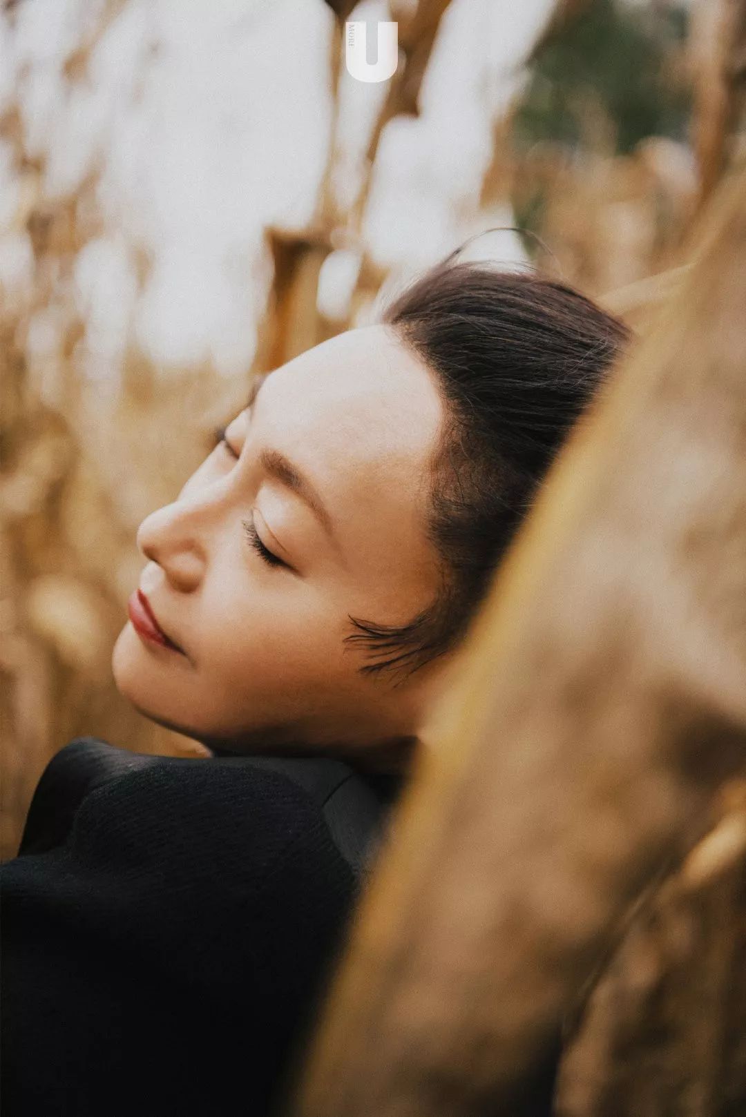 「桃桃淘电影」又是很美的惠老师呀 | 赏色