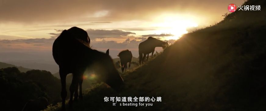没想到啊，一向很简约的无印良品居然开始走「花」哨路线？