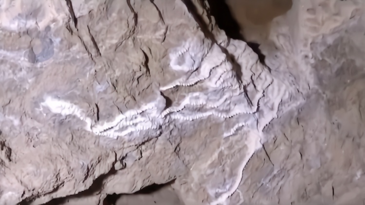 村民上山寻找水源 意外发现几十万年前神秘洞穴