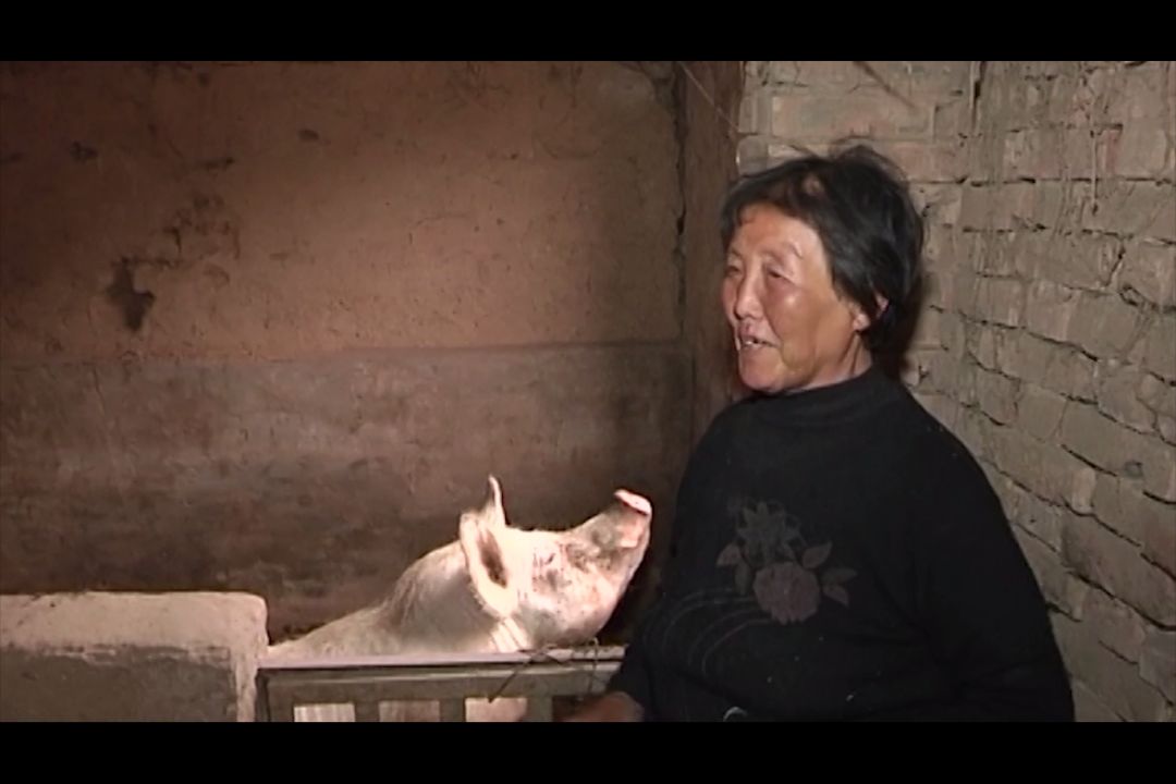 我替儿子「还死债」