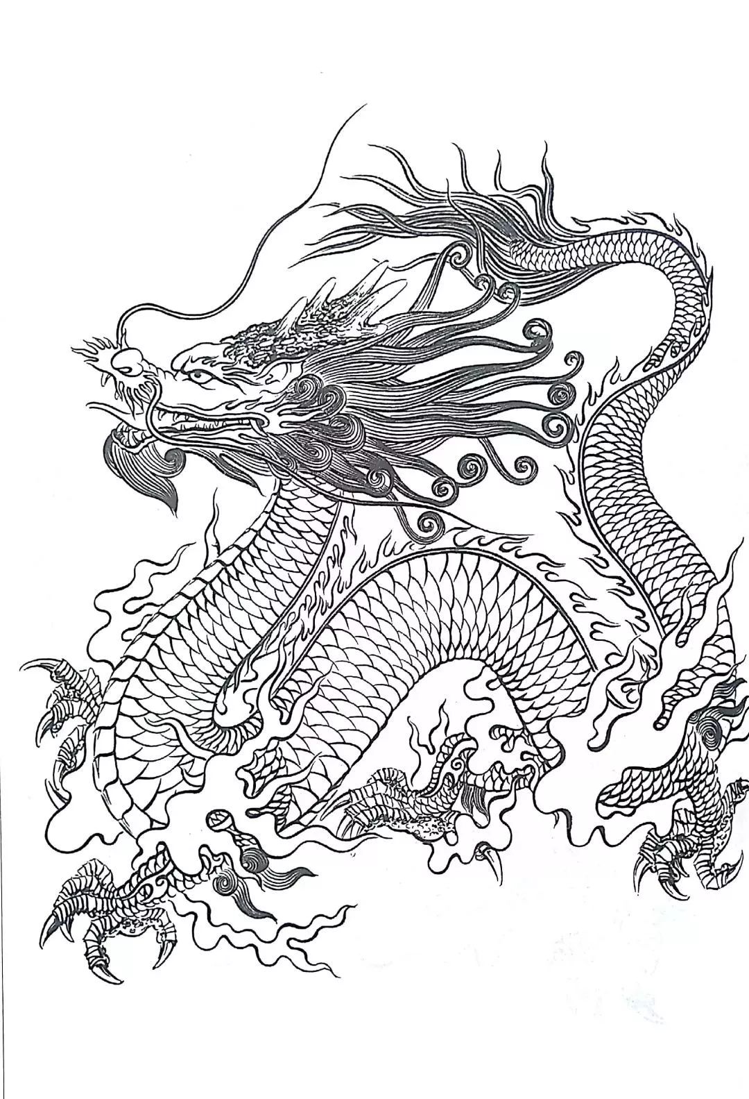 书画鉴赏丨中国龙 白描画稿