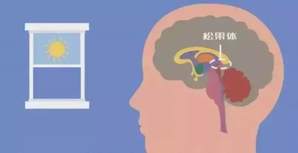 别再开灯睡觉了!真的,不是儿戏